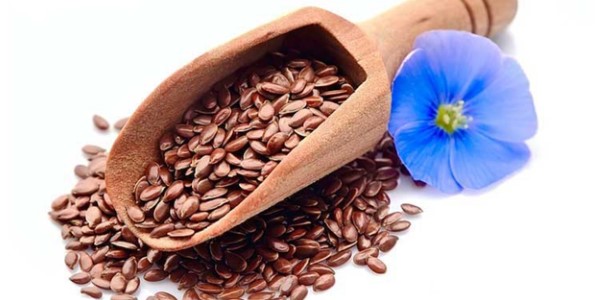 تصویر 3 از خرید و قیمت تخم کتان قرمز + فروش صادراتی